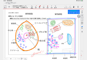 MetaMoJi ClassRoom